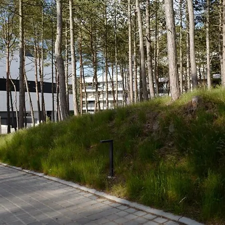 Shellter Forrest I Design Rogowo *