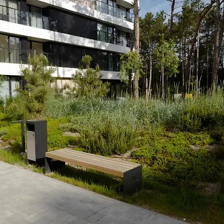 Shellter Forrest I Design Rogowo רוגובו